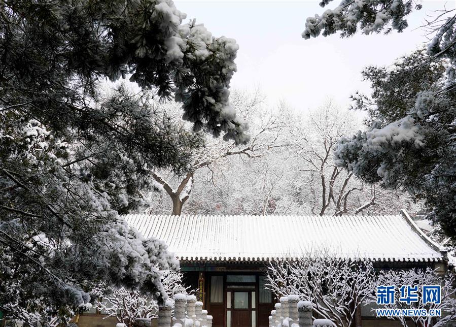 (环境)(8)雪后颐和园美如画