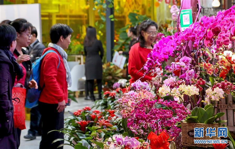 （社会）（1）北京：年宵花展迎春节