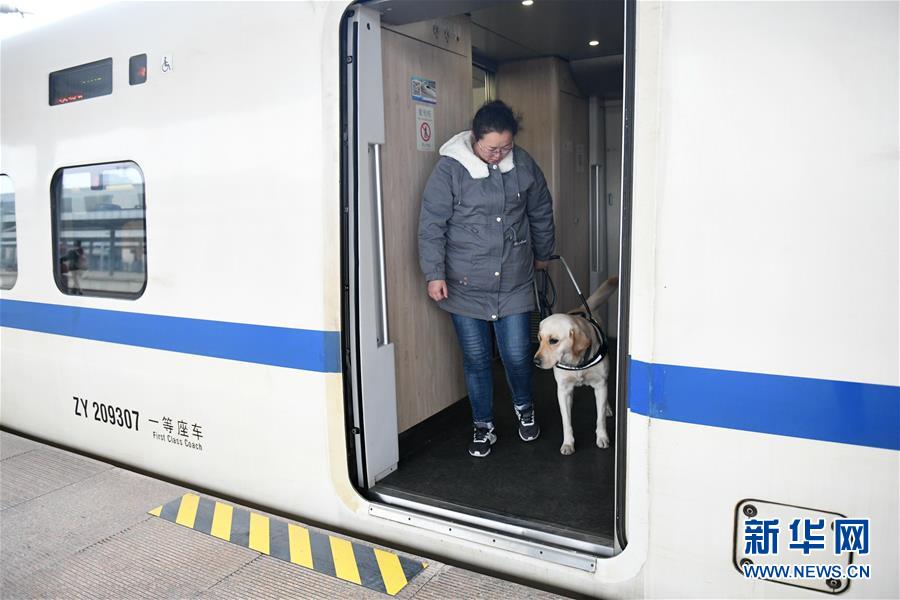 (关注春运)(7)导盲犬乘高铁体验春运