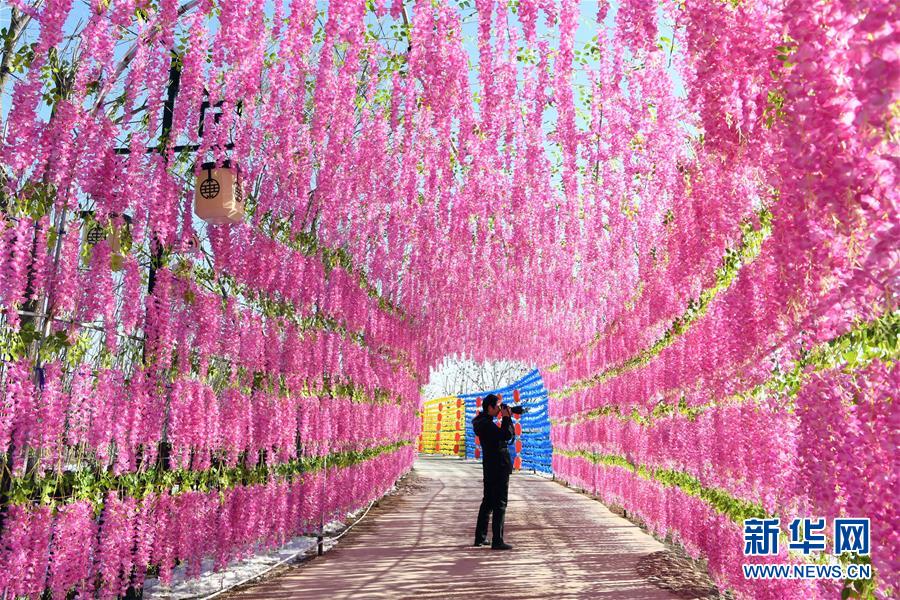 (社会)(2)“天津后花园”喜庆迎春节
