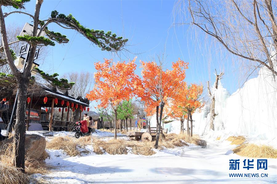 (社会)(5)“天津后花园”喜庆迎春节