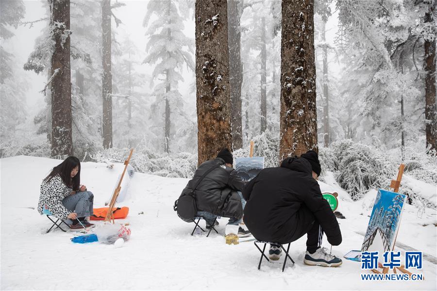 (社会)(1)畅游冰雪瓦屋山