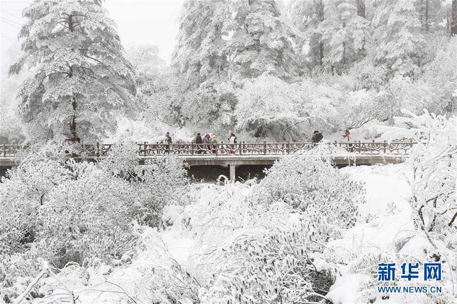 (社会)(7)畅游冰雪瓦屋山