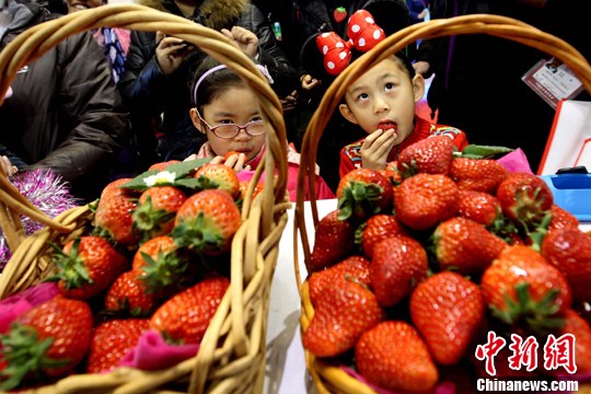 點(diǎn)擊進(jìn)入下一頁(yè)