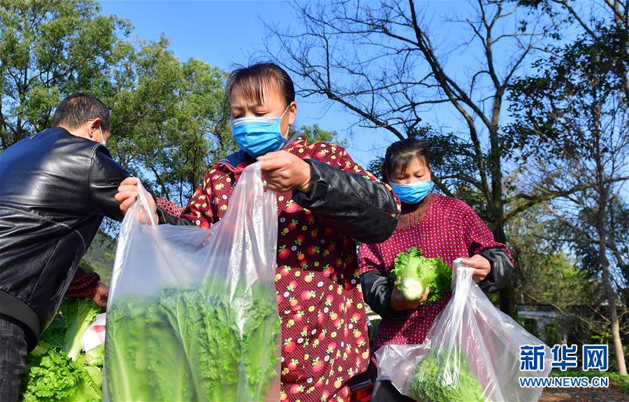 (图文互动)(6)广西桂林:“借力+接力”新鲜蔬菜进社区