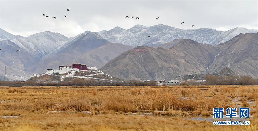 (美丽中国)(1)初春拉鲁湿地