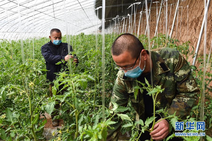（社会）（4）不误农时 抓好春耕