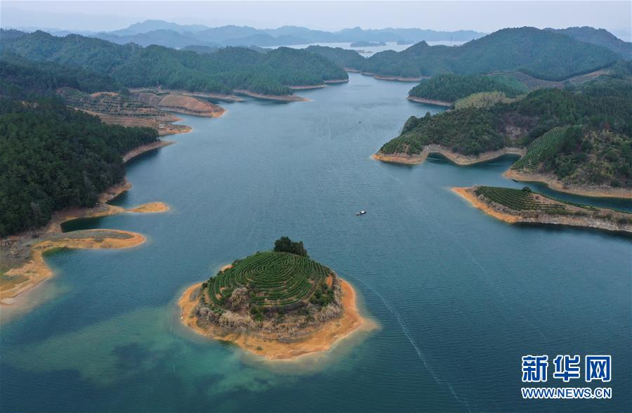 (春季美丽生态)(5)湖上茶园
