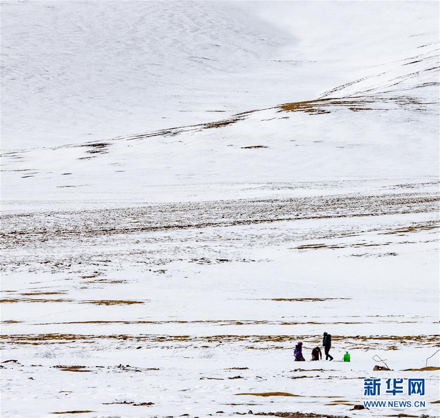 (新华视界)(2)藏北雪景