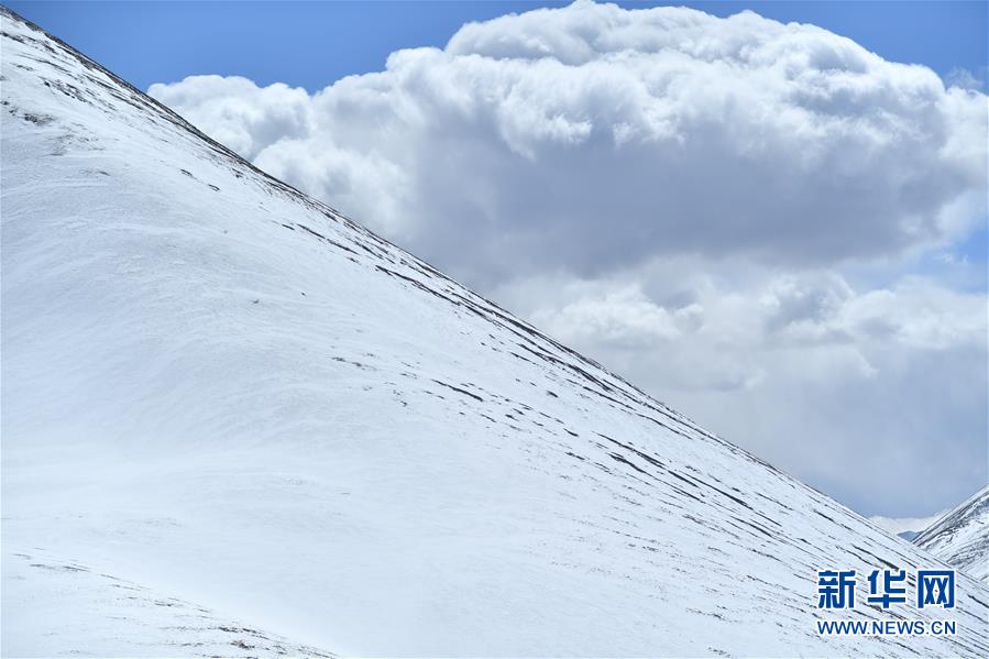 (新华视界)(1)藏北雪景