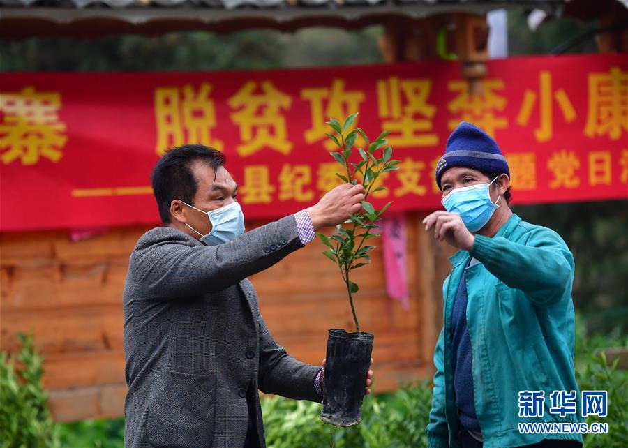 (社会)(4)爱心送苗助春耕