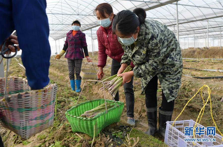 （经济）（2）江西南昌：扶贫基地开工忙