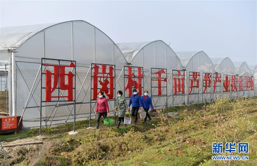 （经济）（5）江西南昌：扶贫基地开工忙