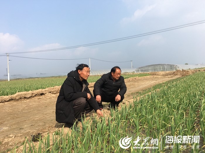 赵厚山和村民在地头查看蔬菜情况.jpg