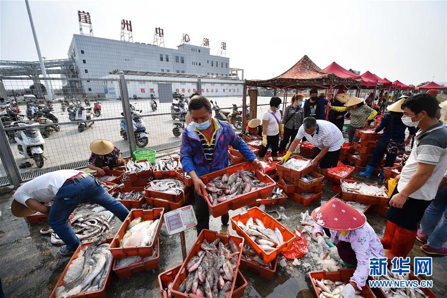 （经济）（6）海南：耕海归来鱼满仓