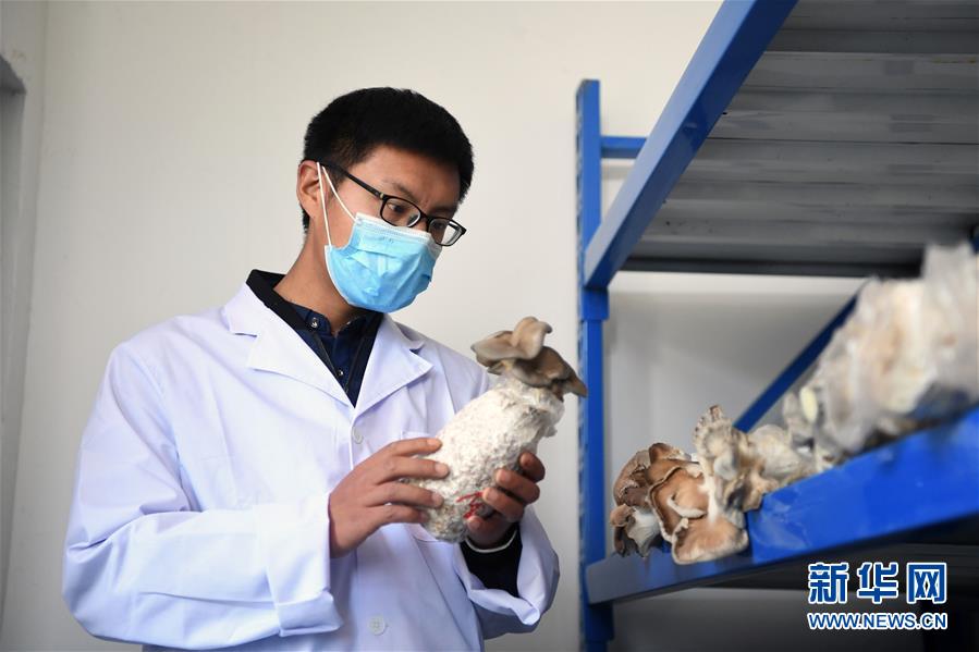 （脱贫攻坚）（6）重庆：扶贫搬迁开启新生活
