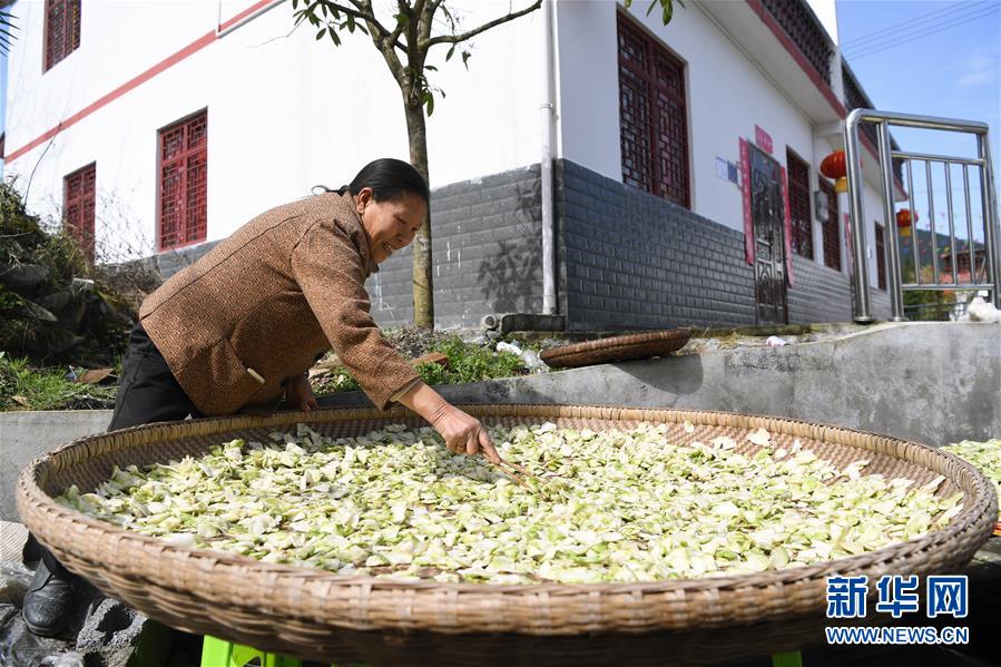 （脱贫攻坚）（7）重庆：扶贫搬迁开启新生活
