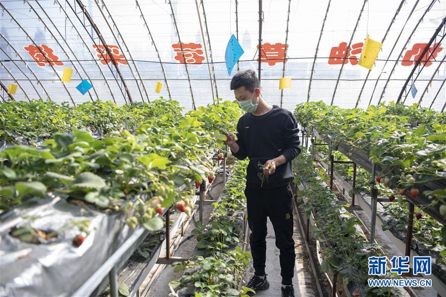 （社会）（2）黄土高原上的青年农民