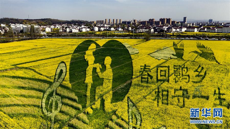 (环境)(9)陕西洋县:油菜花开美如画
