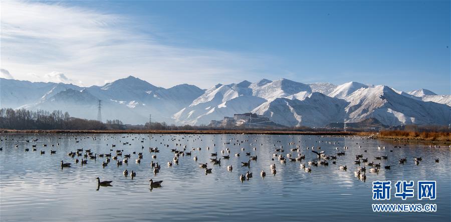 (美丽中国)(1)布宫雪景