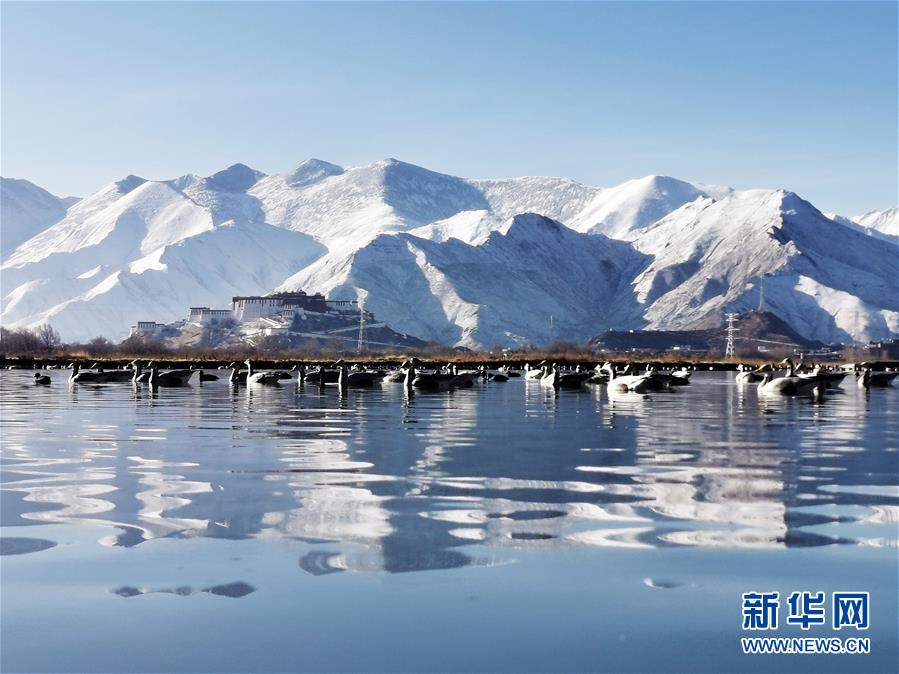 (美丽中国)(6)布宫雪景