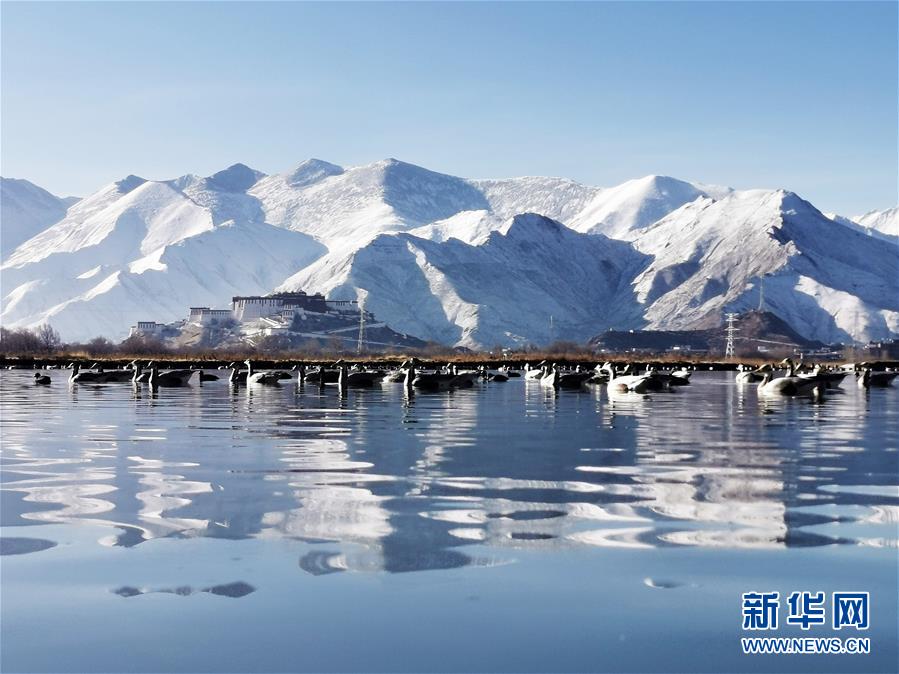 （美丽中国）（6）布宫雪景