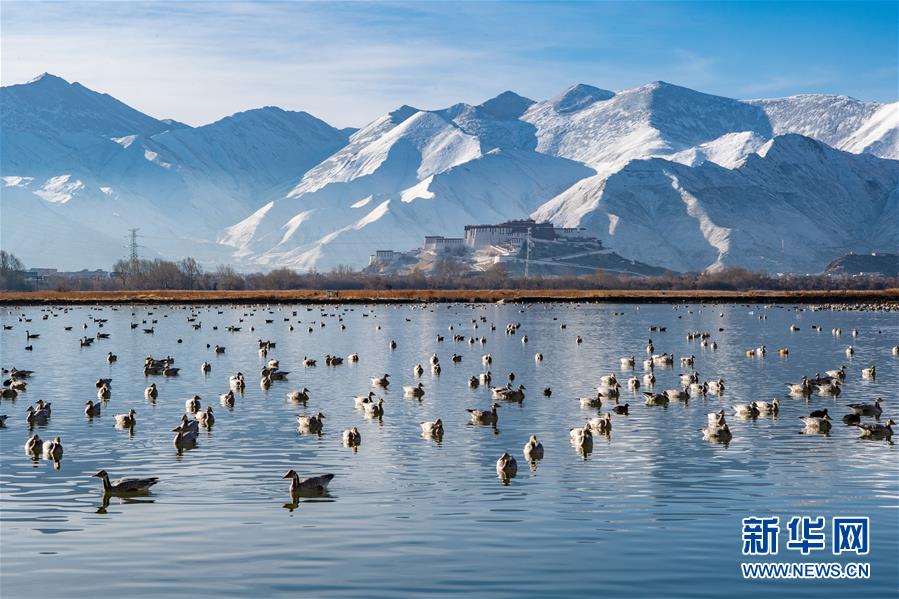 (美丽中国)(5)布宫雪景