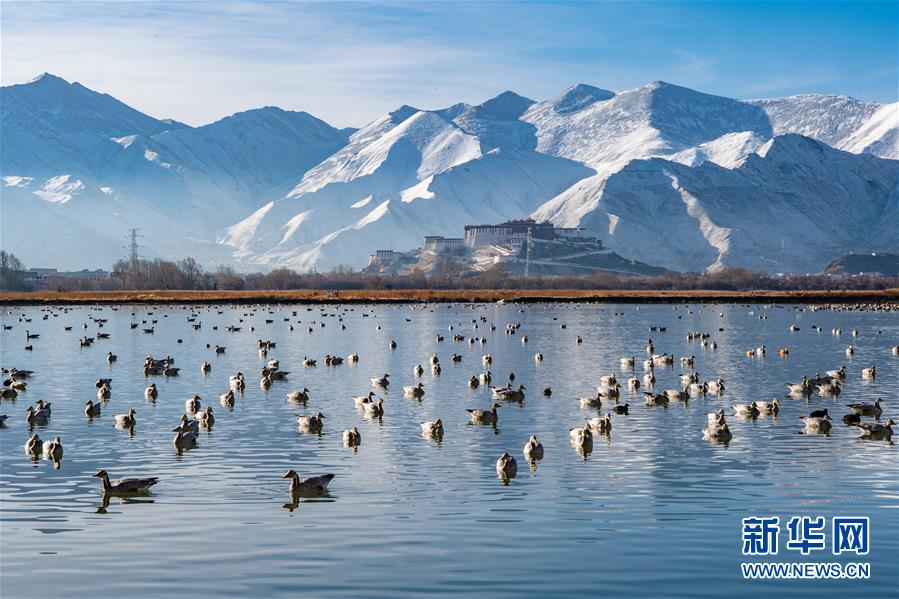 （美丽中国）（5）布宫雪景