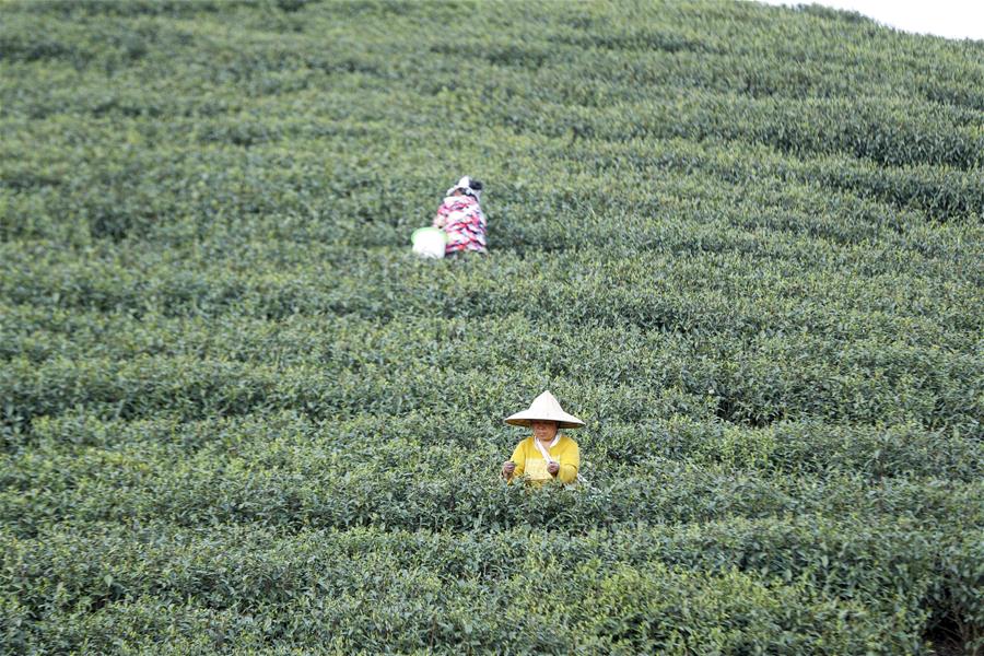 （聚焦复工复产）（4）重庆永川：加快推进各类企业复工复产