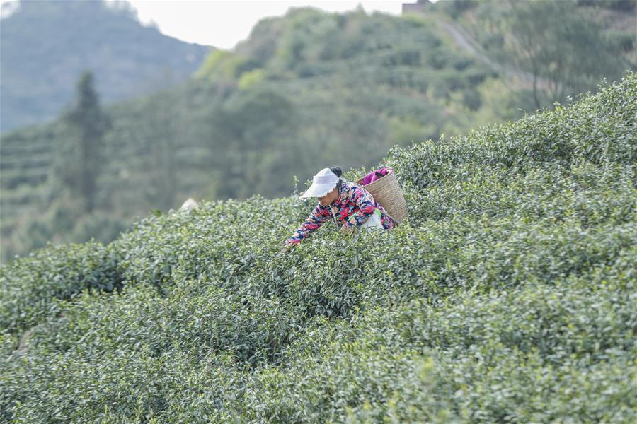 （聚焦复工复产）（5）重庆永川：加快推进各类企业复工复产