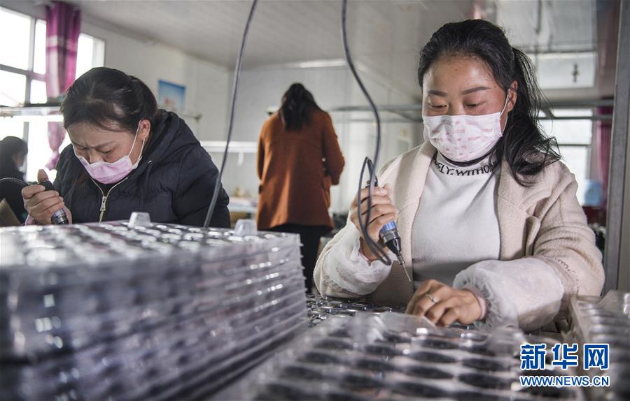 (脱贫攻坚)(3)陕西汉阴:扶贫产业复工复产忙