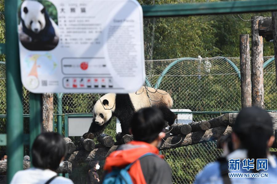 (社会)(3)北京动物园恢复开园