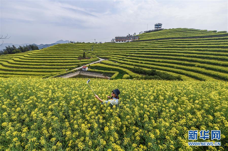 （美丽中国）（4）乡村旅游渐升温 山顶春色迎客来