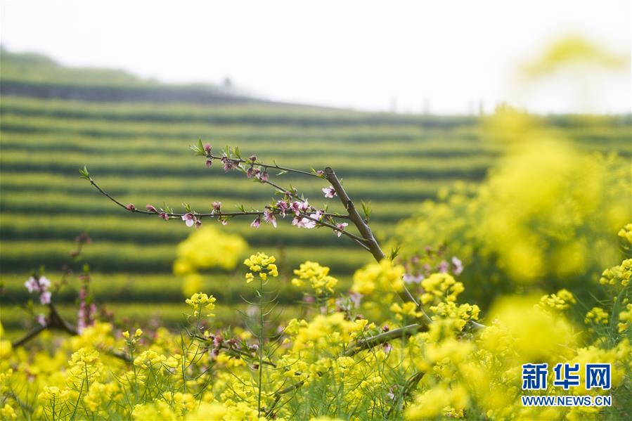 （美丽中国）（3）乡村旅游渐升温 山顶春色迎客来