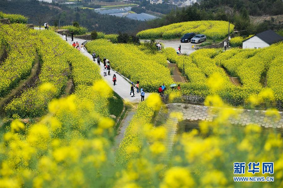 （美丽中国）（1）乡村旅游渐升温 山顶春色迎客来