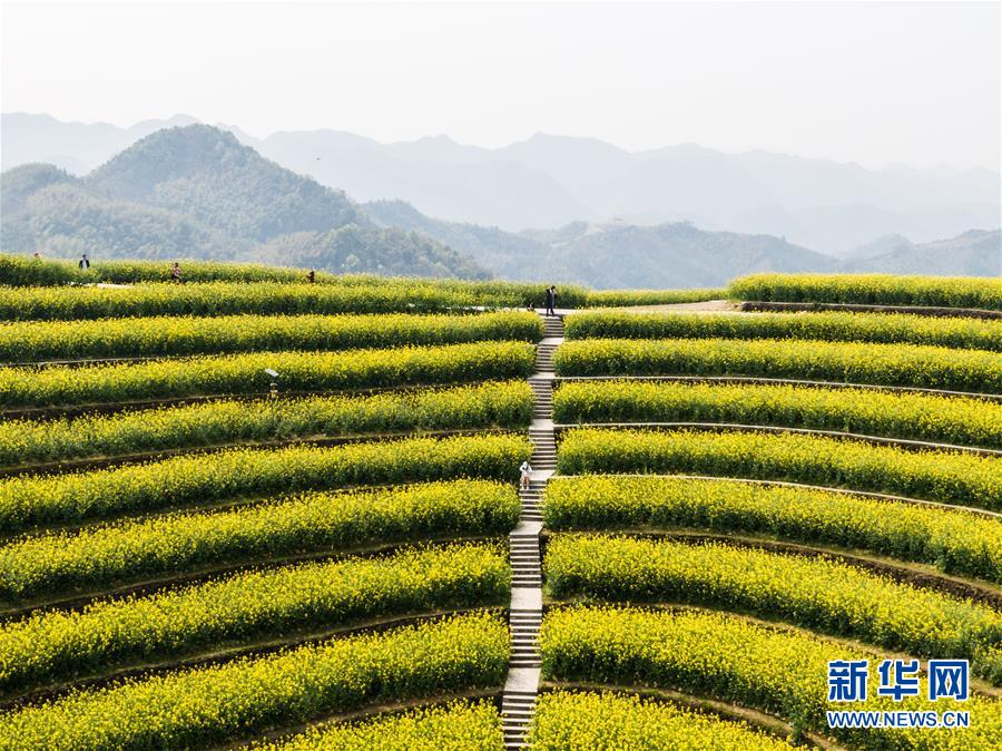 （美丽中国）（6）乡村旅游渐升温 山顶春色迎客来