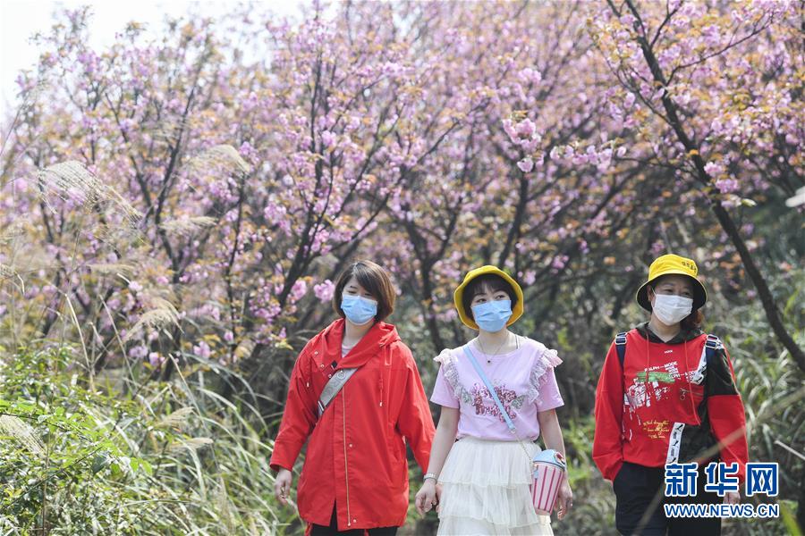 (社会)(5)放牛坪的春天