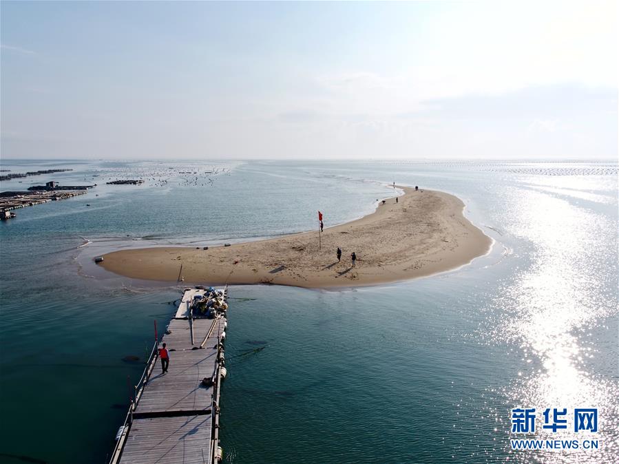 （图文互动）（7）“千变”沙洲的新变化