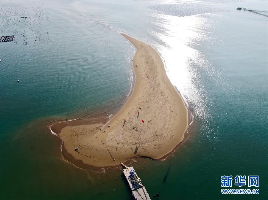 （图文互动）（4）“千变”沙洲的新变化