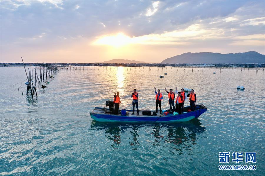 （图文互动）（6）“千变”沙洲的新变化