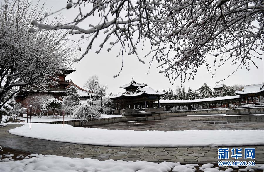 （环境）（1）古城春雪