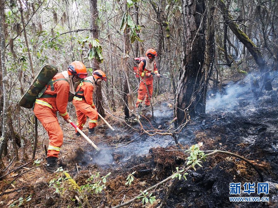 （图文互动）（2）云南玉龙森林火灾明火扑灭 过火面积约40公顷