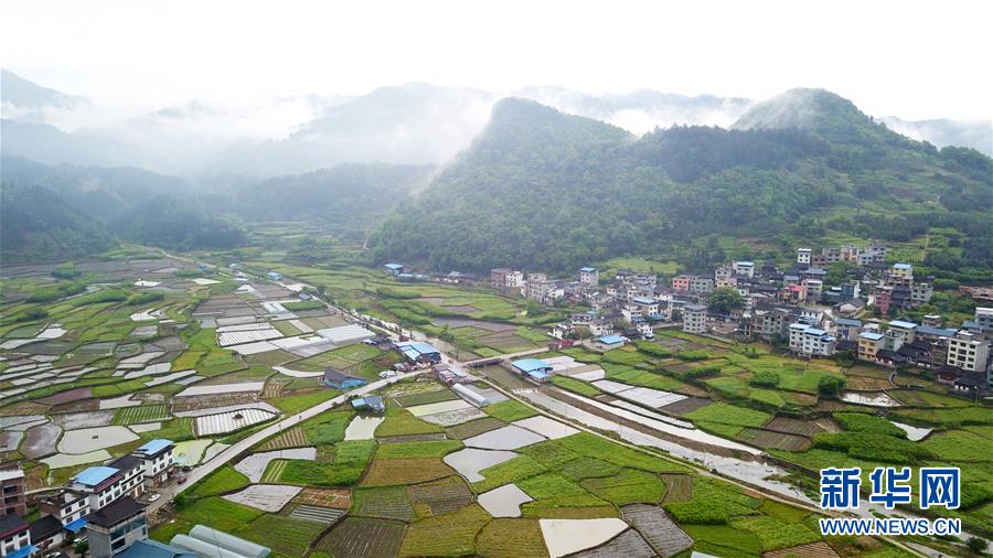 （春季美丽生态）（1）乡村新雨后