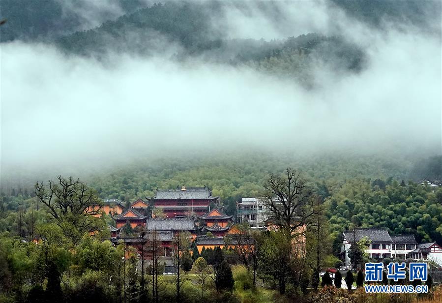 （美丽中国）（2）烟雨黄柏山