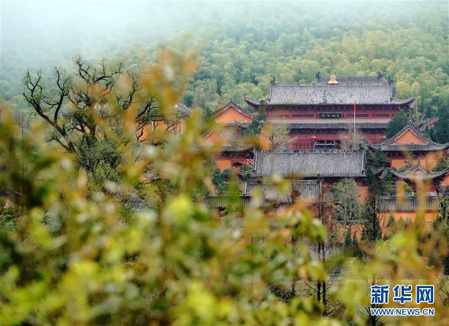 （美丽中国）（5）烟雨黄柏山