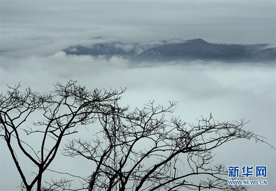 （美丽中国）（6）烟雨黄柏山