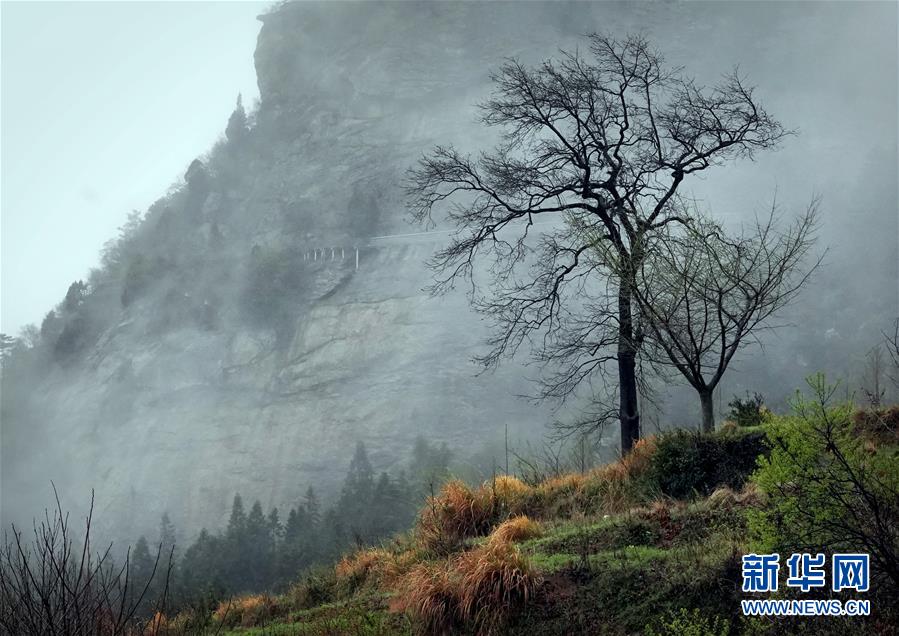 （美丽中国）（7）烟雨黄柏山