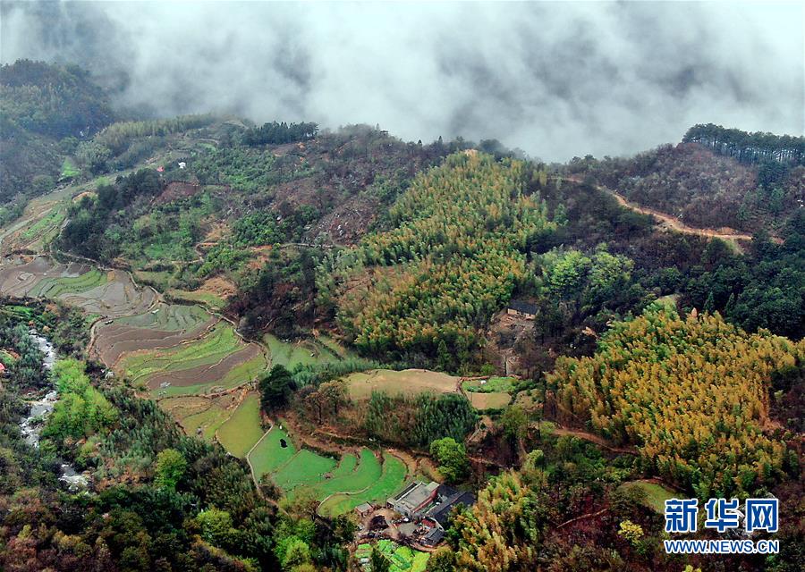 （美丽中国）（10）烟雨黄柏山