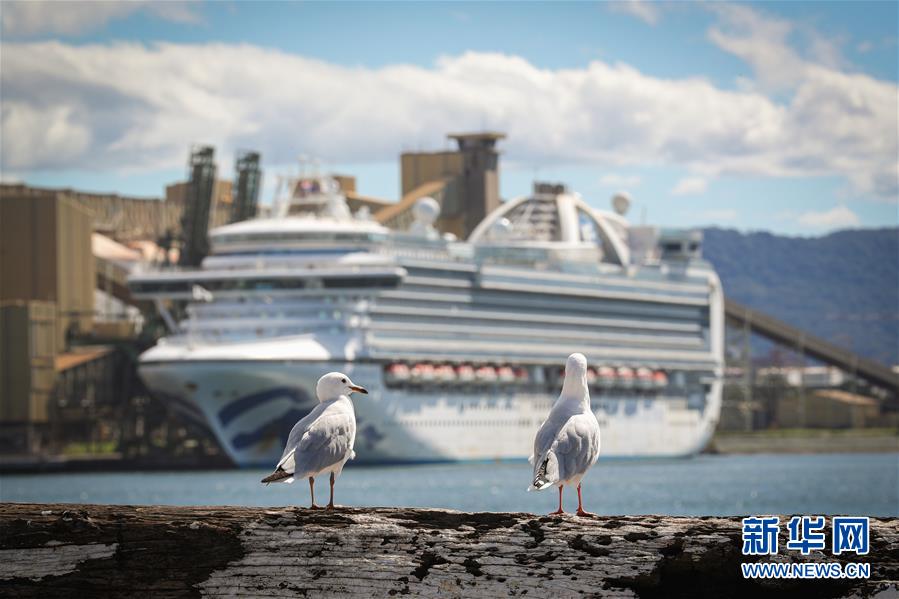 (国际疫情)(2)澳警方对“红宝石公主”号邮轮展开刑事调查