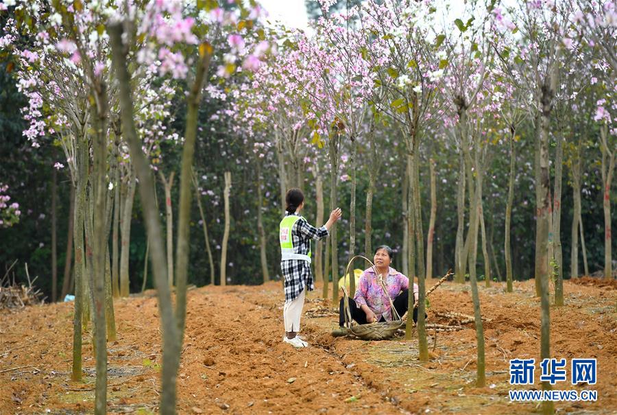 #(图片故事)(6)广西柳州:90后女硕士进村扶志路